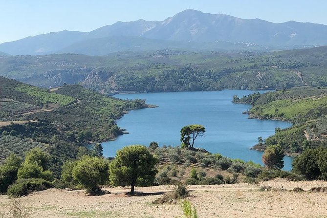 Private 4x4 Wine Tour from Athens to Marathon Lake and a Winery - 4x4 pickup and ride style: what to expect