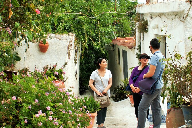 Private Athens Orientation Tour - Agora, Acropolis viewpoints, and Areios Pagos: understanding Athens’ geography
