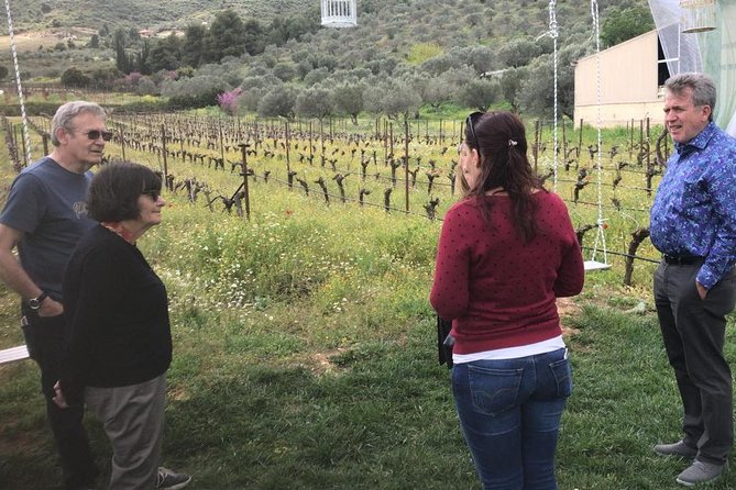 Private Athens to Mycenae & Nafplio Tour - Getting the most out of each stop (without feeling rushed)