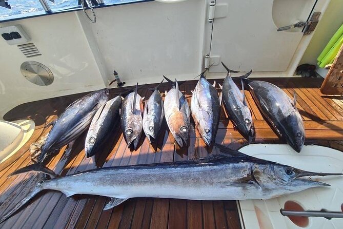 Private Boat and Fishing Tours in Greek Islands - Swimming and water activities from the boat