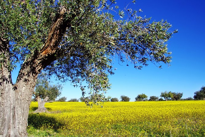Private Day Trip to Canal,Ancient Corinth,Myceane and Nauplion - Pickup, timing, and how to avoid stress on a 10-hour day