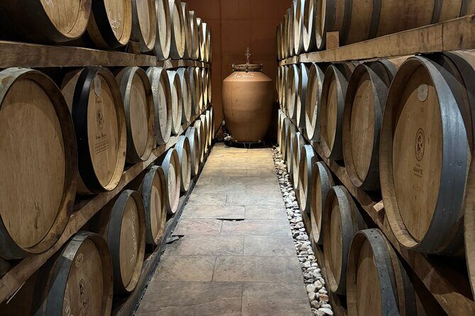 Private Daytrip for Truffle Mushroom Foraging and Wine Tasting - Getting the most out of your day: simple prep tips