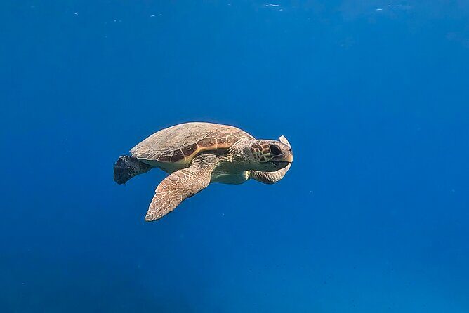 Private Discover Scuba Diving Experience in Messinia - Why Marathopoli and Messinia work so well for first-timers