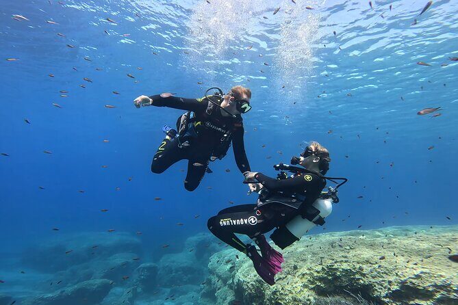 Private Discover Scuba Diving Experience in Messinia - Entry, gear setup, and the little details that cut stress