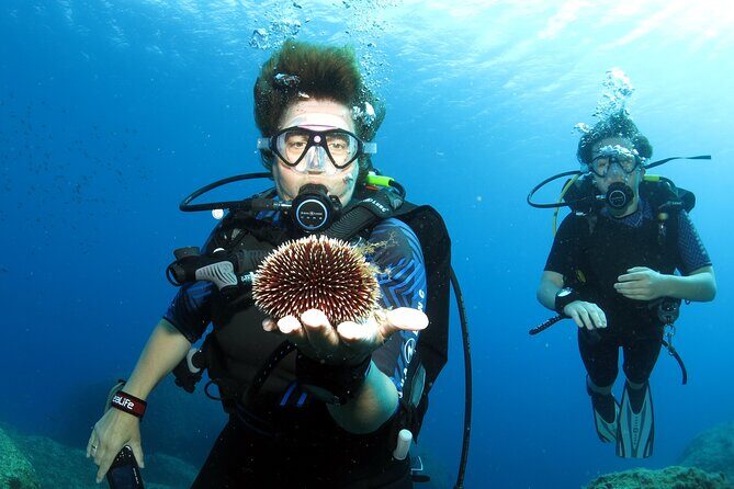 Private Discover Scuba Diving for Beginners in Athens with Pickup - Timing and transportation: how to fit this into your Athens trip