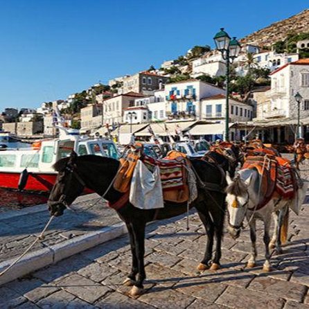 Private Excursion to Hydra Island - Price, Value, and the Real Cost of a Smooth Private Day