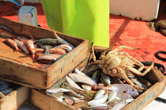 Private Fishing Trip in a Traditional Boat from Athens - What you actually do on the traditional boat