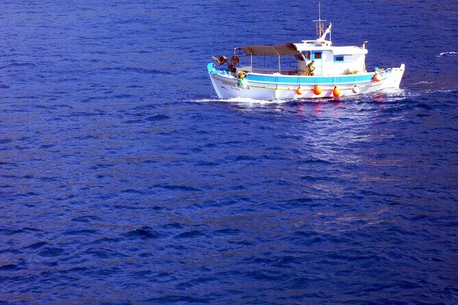 Private Fishing Trip in a Traditional Boat from Athens - Price and value: what $234.80 per person is buying you