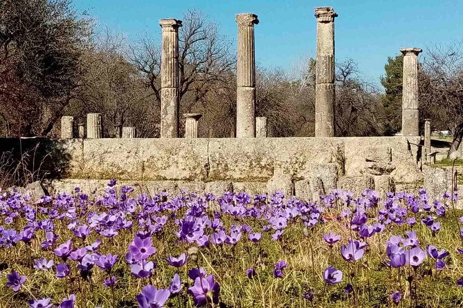 Private Guided Tour of the Archaeological Site and Museum of Olympia - Key Things to Know Before You Go