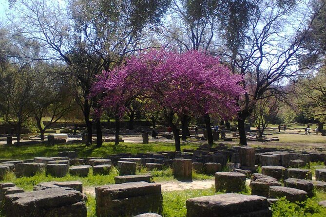 Private Guided Tour of the Archaeological Site and Museum of Olympia - Olympia in Two Stops: Site First, Museum Second