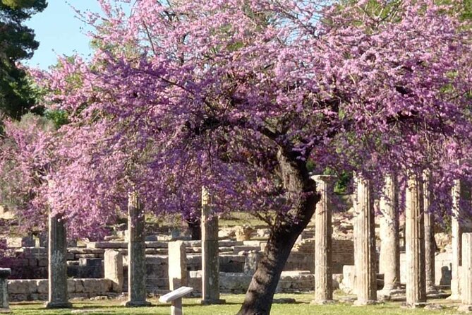 Private Guided Tour of the Archaeological Site and Museum of Olympia - Price and Value at $300.38 Per Group (Up to 15)