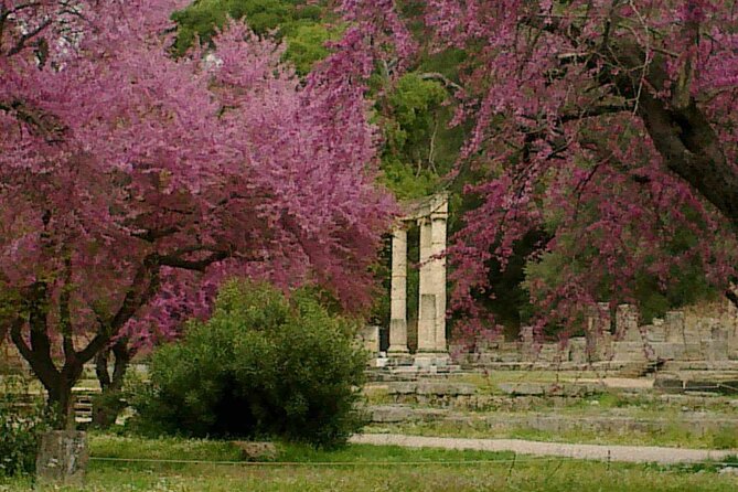 Private Guided Tour of the Archaeological Site and Museum of Olympia - Stop 1: Training Grounds, Zeus Temple, Hera, and the Stadium