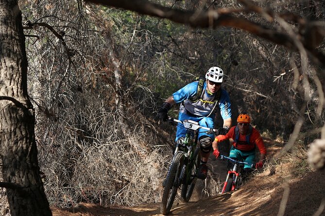 Private Mountain Bike,Trail Ride Tour of Mount Ymittos, Athens. - Why the views matter (and when you’ll notice them)