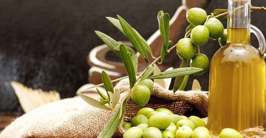 Private Olive Oil Tour & Tasting with Lunch from Katakolo - Price and Value: What $124 Really Buys You