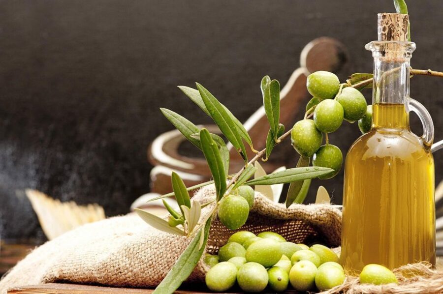 Private Olive Oil Tour & Tasting with Lunch from Katakolo - Who This Tour Fits Best (And Who Might Want Something Else)
