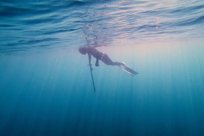 Private Spearfishing Trip From Athens - What’s included (and what’s not) so you can budget calmly