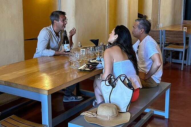 Private Sunset Wine Tour with 3 Wineries and Tapas - Stop 1: Estate Argyros, Vineyards, Pruning, and a Sommelier-Led Tasting
