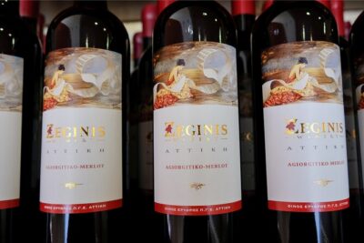Private Tour and Tasting at Zeginis Winery - The vineyard walk in Ramnous: watching the vine’s stage and asking real questions