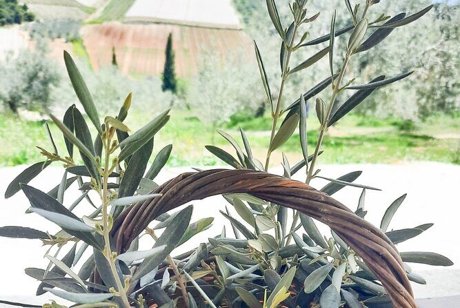 Private tour in Nafplio with Olive oil Tasting Tour in Corinth - Stop 1: Oleosophia Olive Garden for a Real Olive Oil Tasting (4 Hours)