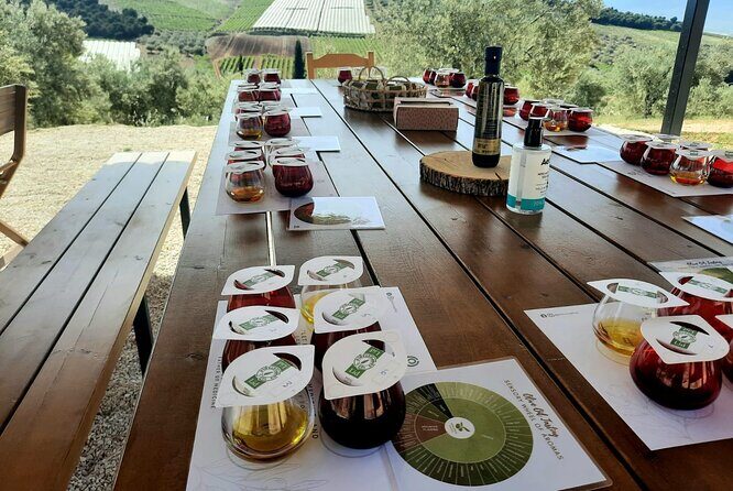 Private tour in Nafplio with Olive oil Tasting Tour in Corinth - Stop 2: Corinth Canal for Quick Views and a Sense of Engineering (20 Minutes)