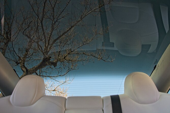 Private Transfer from Athens Airport to Athens City with Tesla - Group Size: Up to 3, Private by Design