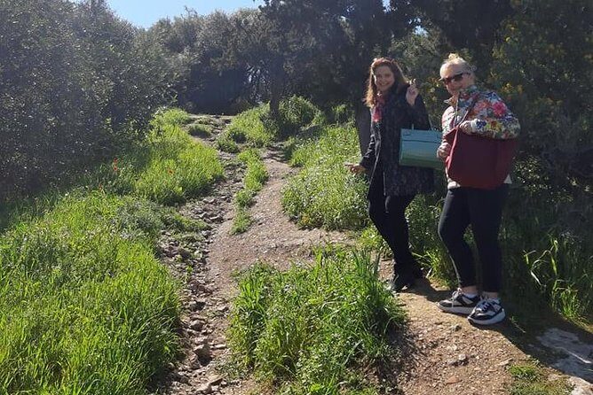 Private Walking Tour- 3000 years of History around the Acropolis Rock - From Acropolis Metro Station to the Hill of the Muses: getting your bearings fast