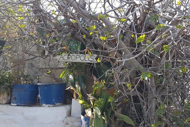 Private walking tour- Enjoy a Sunset Tour in Plaka - Who Should Book This Tour (and Who Might Skip It)
