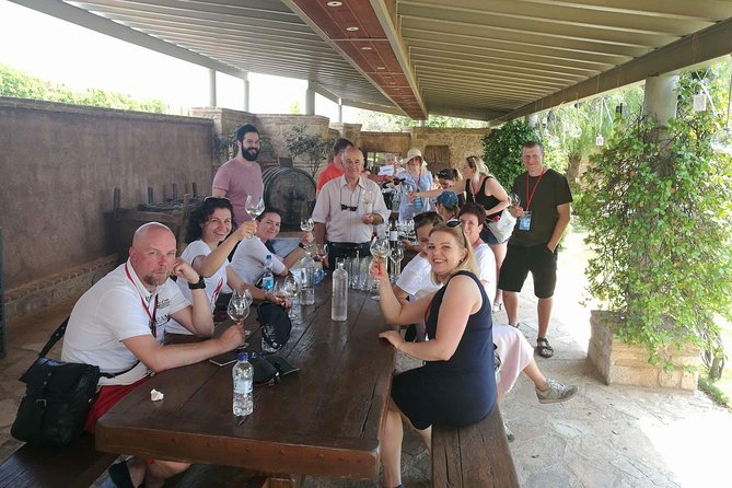 Private Wine Tasting Experience of Greek Awarded Wines at Athens Wine Suburb - Optional Temple of Poseidon extension: sea views without the full detour