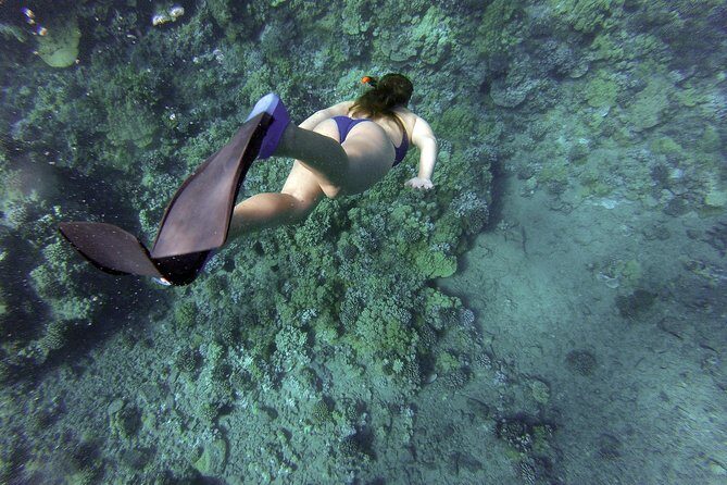 Snorkeling Fun Adventure in Athenian Riviera - Snorkeling Gear and What “Beginner-Friendly” Really Means