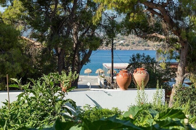 Traditional Greek Cooking Class and Organic Lunch on Poros - Bougatsa: the dessert that feels like a warm hug