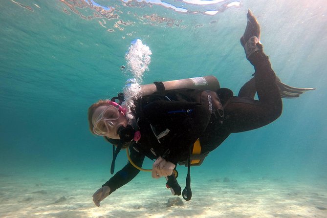 Try scuba dive - Value check: what you get for about $97.74