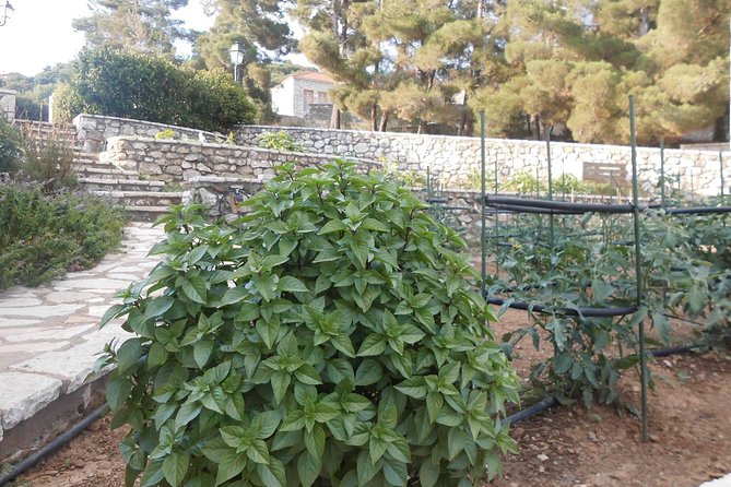Village cooking class in an Agritourism Unit in Arcadia, Greece! - FAQ
