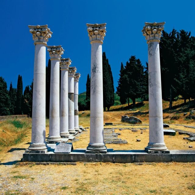 Watch a performance at ancient stage of Epidaurus - The Athens and Epidaurus Festival show: live performance with English dialogue translation