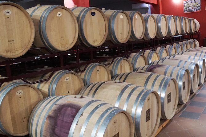 Wine Roads Private Day Tour: Corinth - Ancient Nemea & Wine Tasting - Nemea wineries: grape rows, barrels, tasting, and a bottle to take home