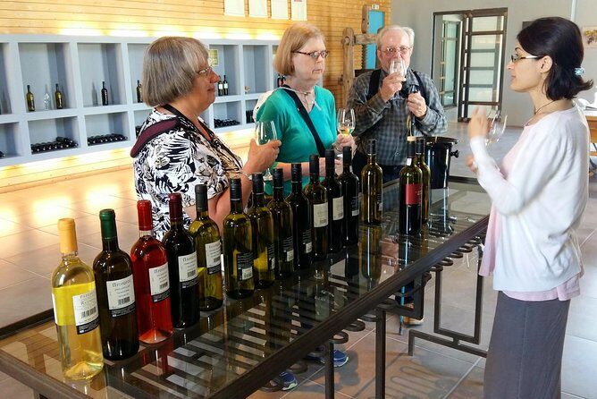 Wine Trails Private Tour/ Nemea visit 3 wineries from Athens or Nafplion (10 h) - Key Things to Know Before You Go