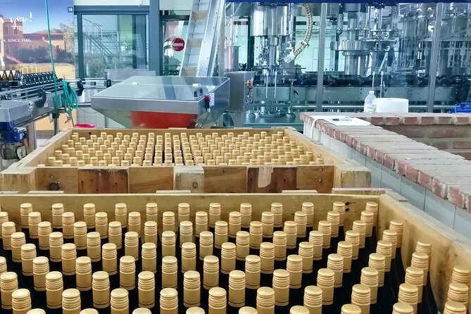 Wine Trails Private Tour/ Nemea visit 3 wineries from Athens or Nafplion (10 h) - From Athens to Nemea: A Full Day That Feels Well-Run